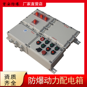 首安防爆照明动力配电箱